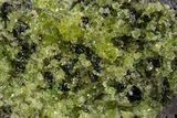 Peridot in Basalt - Arizona #324699-1